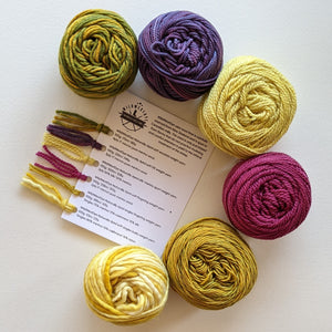 Yarn Tasting Shawl Naturally dyed Knitting kit